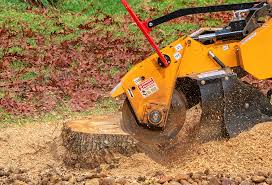 Best Aeration Services  in Bishop, TX